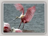 landing