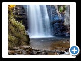 Looking Glass Falls