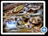 Stream