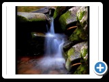 Stream4